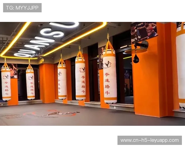 国际拳击联盟赛事品牌授权与衍生品开发案例分析，拳击产品